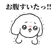 855505317