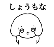 855505320