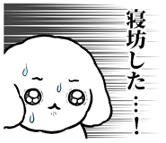 855505325