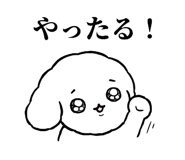 855505331