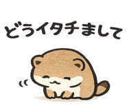 855505835