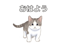 855506657