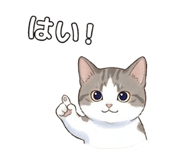 855506670