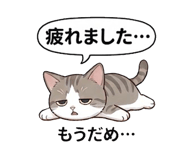 855506672