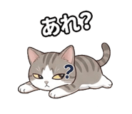 855506673