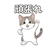 855506680