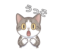 855506682