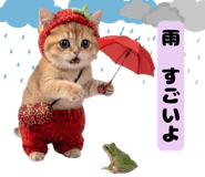 855507423