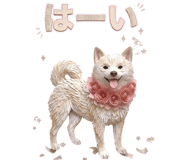 855508866