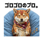 855508873