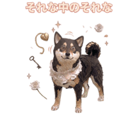 855508877
