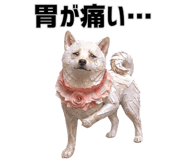855508884
