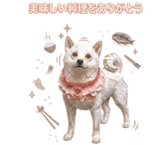 855508885