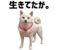 855508886