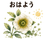 855509201