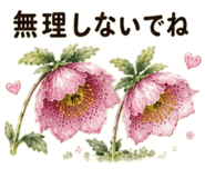 855509209