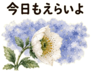 855509213