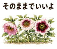 855509214