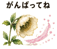 855509224