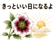 855509226