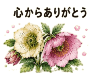 855509227