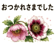 855509231