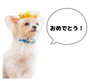 855509567