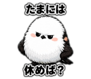 855510069