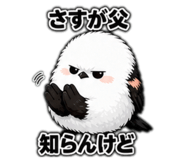 855510073