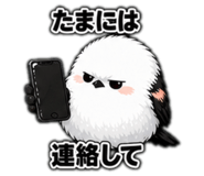 855510084