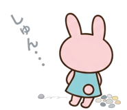 855510120