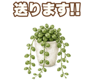 855511252