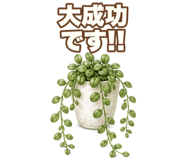 855511254