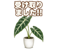 855511285