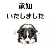 855511666