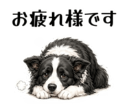 855511667