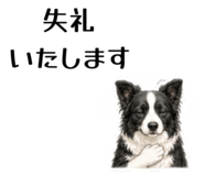 855511673