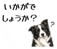 855511674
