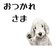 855511681