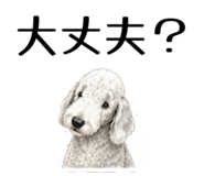 855511682