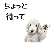 855511694