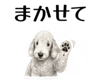 855511696