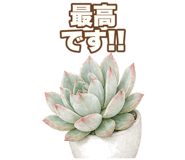 855511743