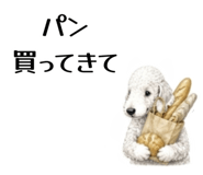 855511755