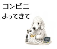 855511763