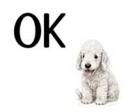 855511765
