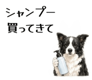 855511775