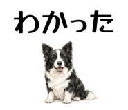 855511780