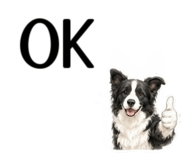 855511781