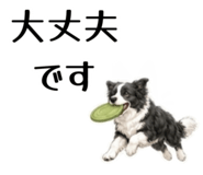 855511784